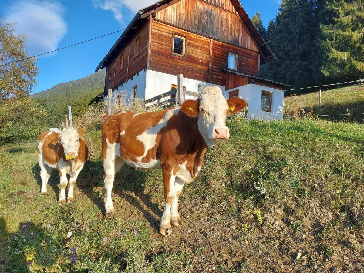 Karlbauer Huette Villa Lendorf Kültér fotó