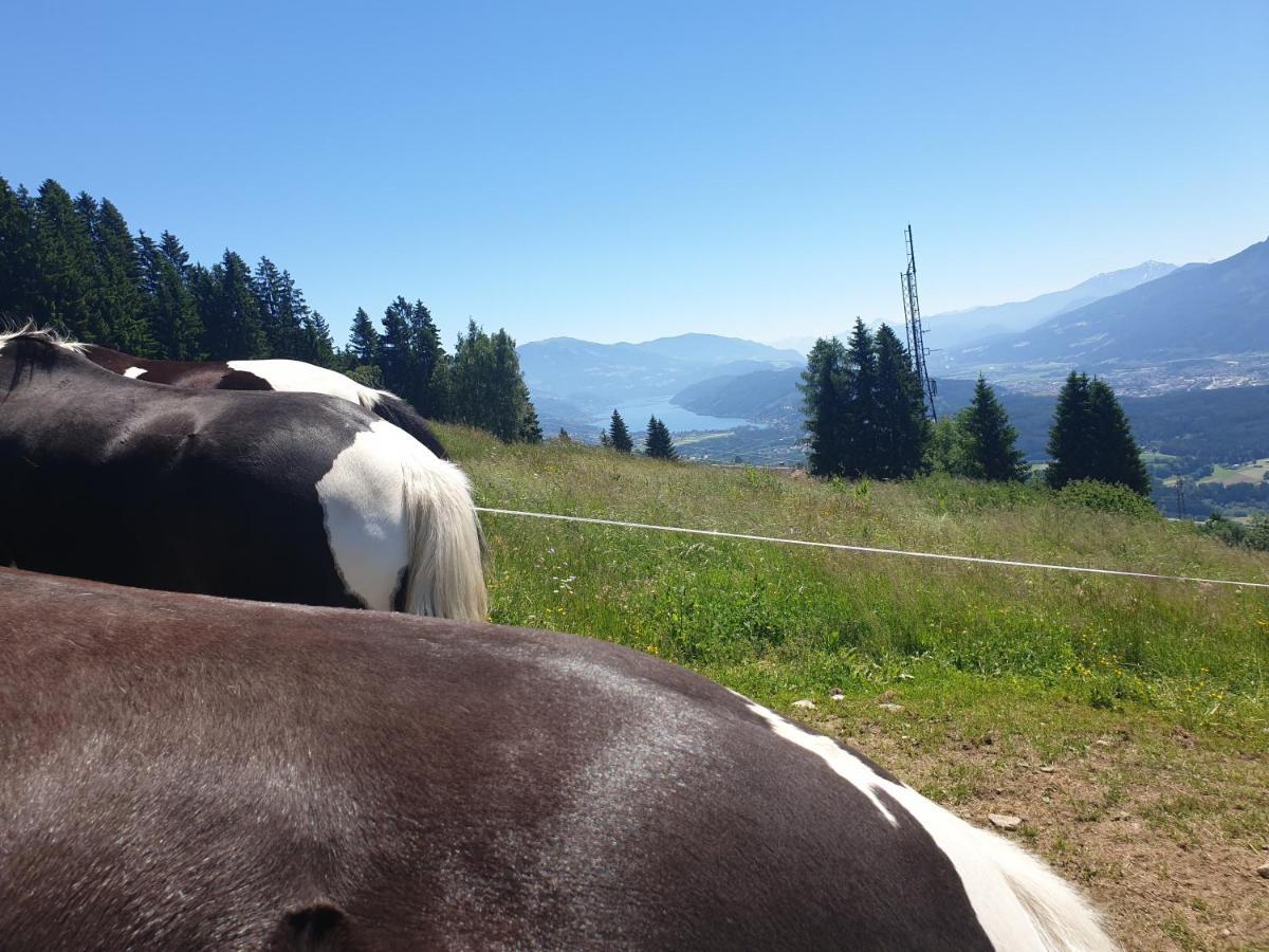 Karlbauer Huette Villa Lendorf Kültér fotó