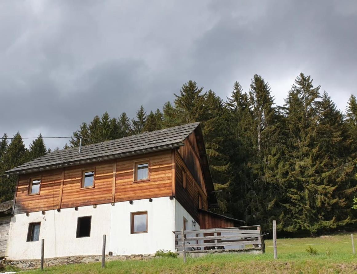 Karlbauer Huette Villa Lendorf Kültér fotó