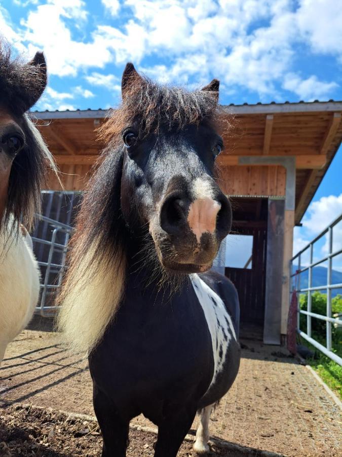 Karlbauer Huette Villa Lendorf Kültér fotó